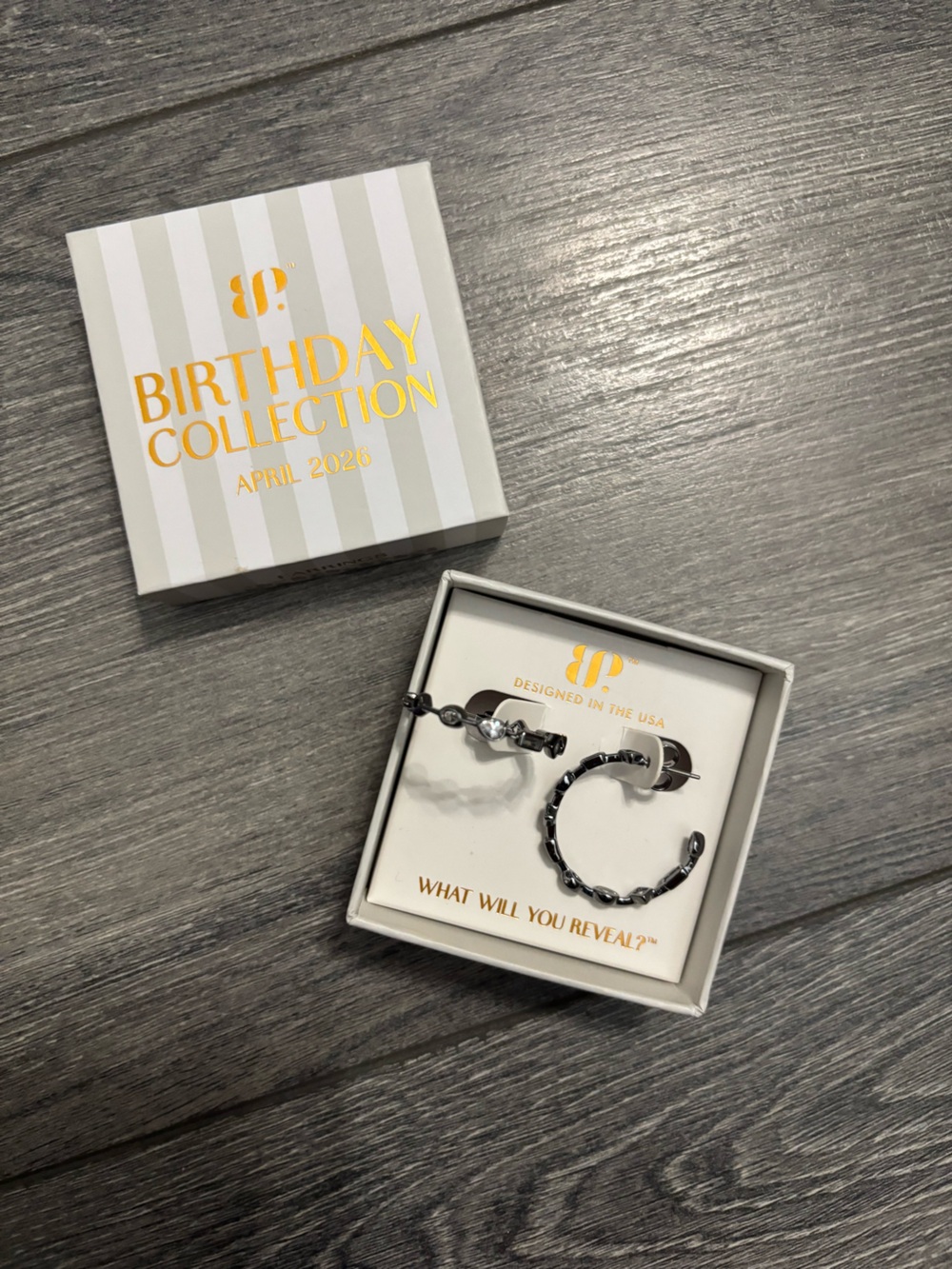 April 2026 Birthday Earrings the Noelle hoop